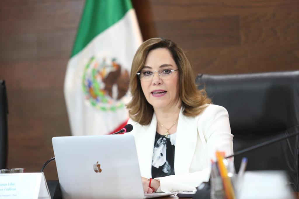 ministros de la suprema corte dieron la razon al inai asegura comisionada blanca lilia ibarra