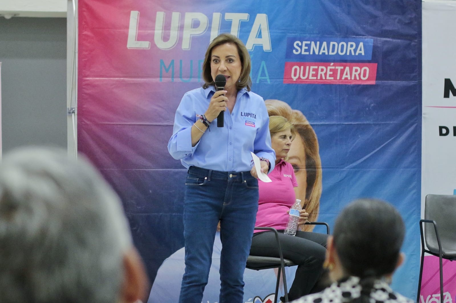 GOBIERNO FEDERAL ACOSA A LAS ORGANIZACIONES DE LA SOCIEDAD CIVIL: LUPITA MURGUÍA