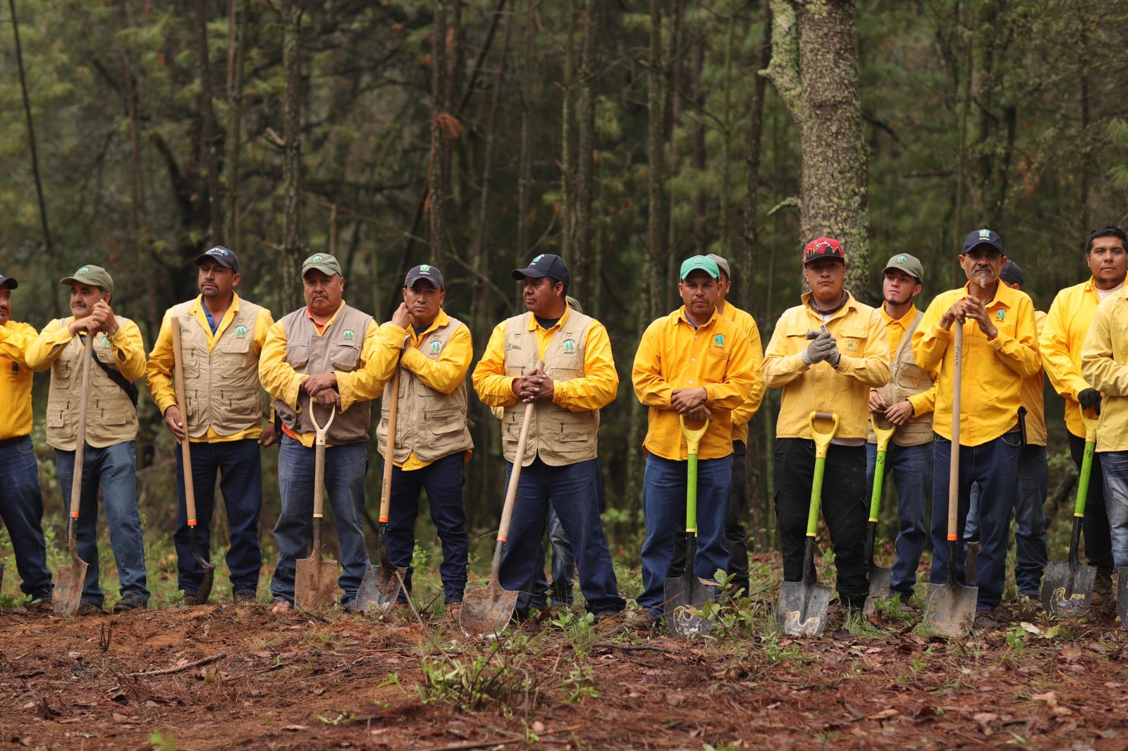 71 273 44788 588840262 jornada reforestacion Amealco 11 07 2024 12