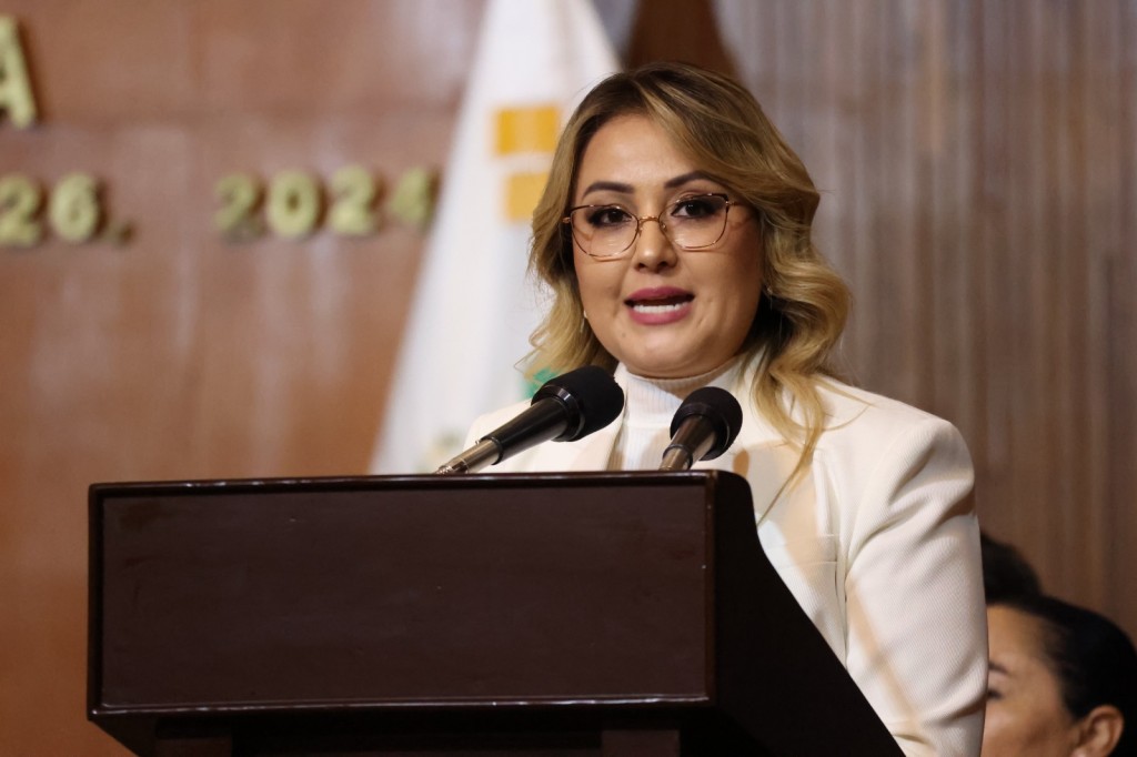 Diputada Claudia Diaz Gayou 1024x682 1