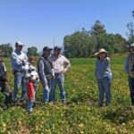 CADEREYTA, LÍDER EN LA PRODUCCIÓN DE FRIJOL EN QUERÉTARO!