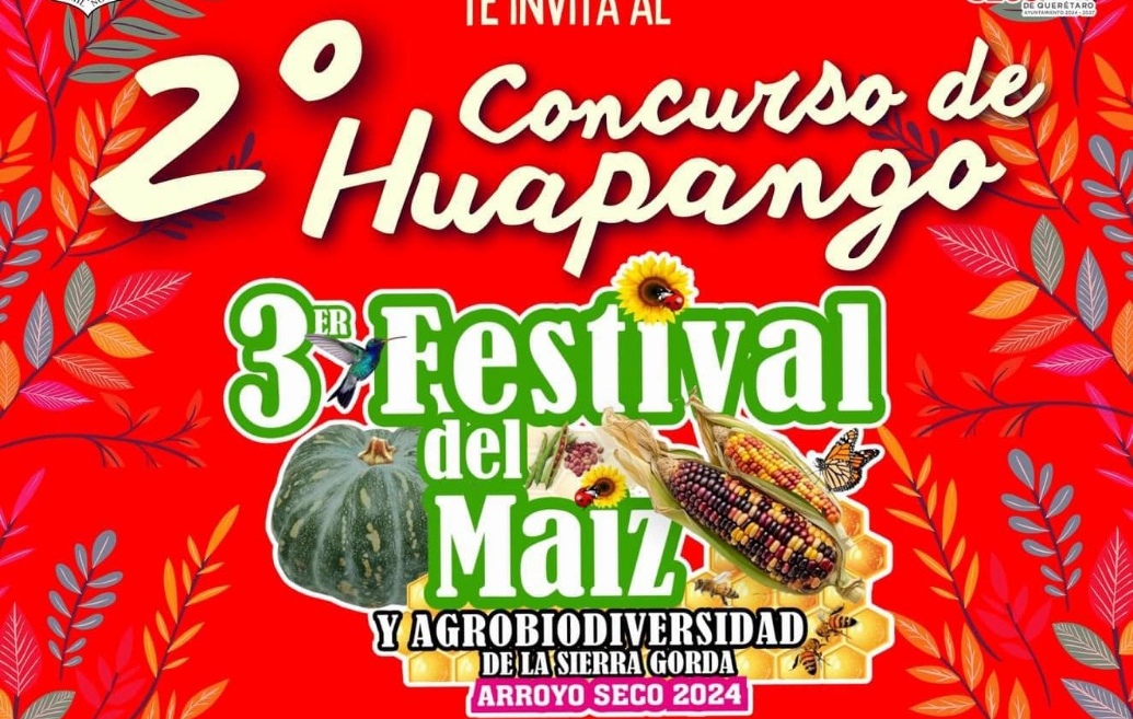 IMG 20241115 111445