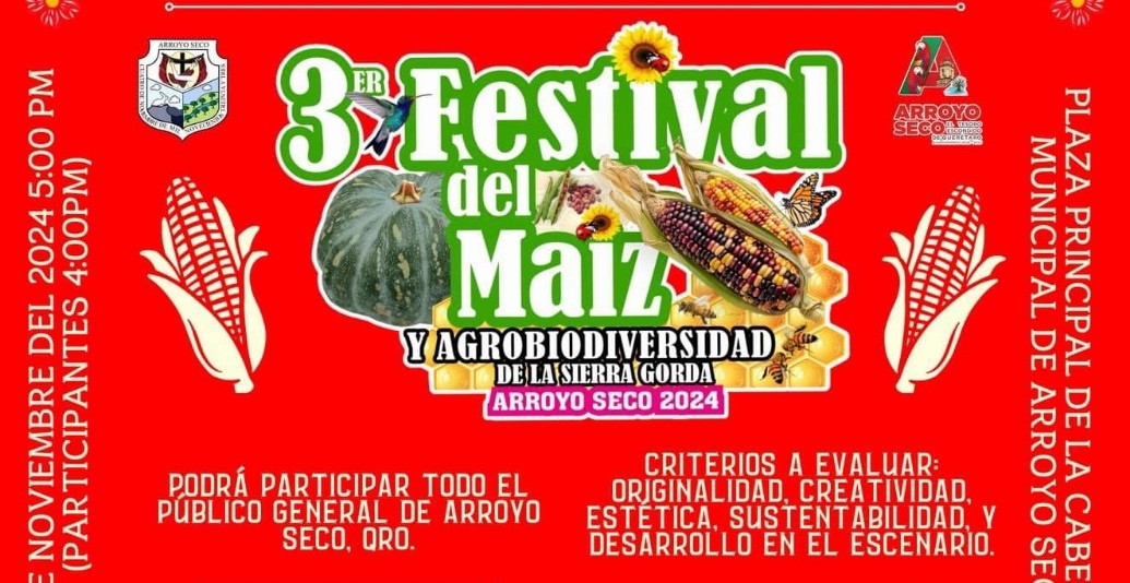IMG 20241120 154605
