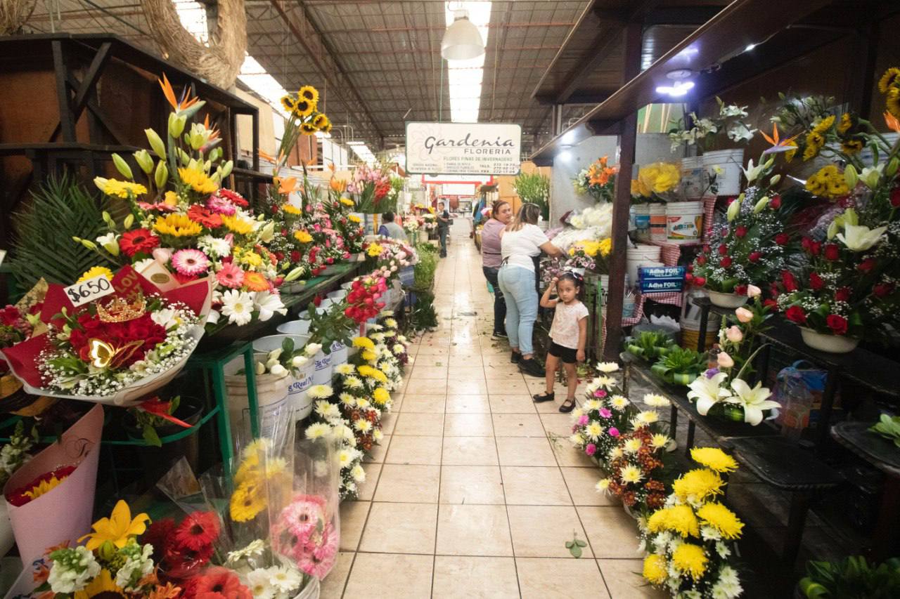 PROYECTAN DERRAMA ECONÓMICA DE 46 MDP POR CELEBRACIÓN DEL DÍA DE LAS MADRES EN SAN JUAN DEL RÍO