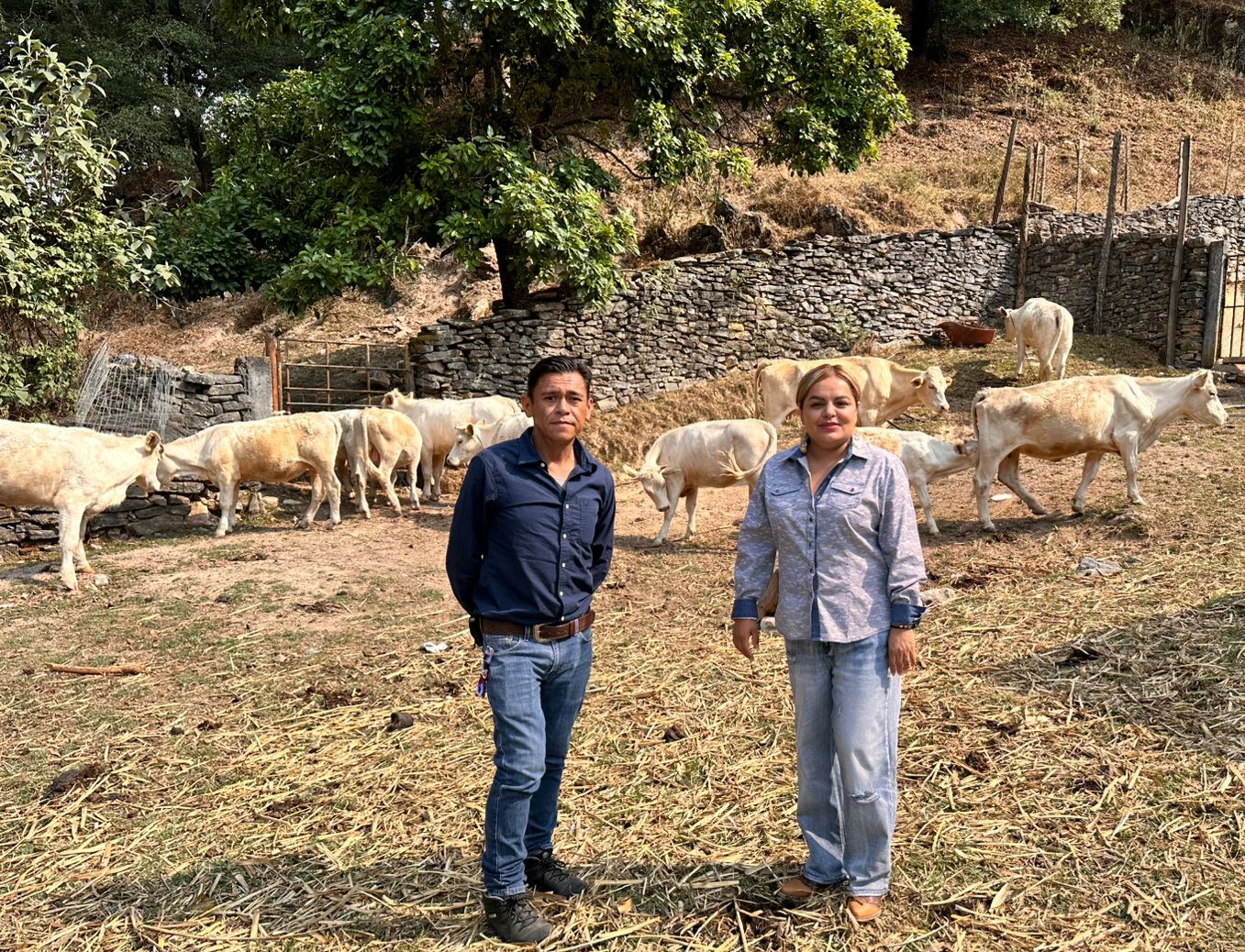 “PINAL DE AMOLES REFUERZA LA SALUD ANIMAL CON CAMPAÑA DE VACUNACIÓN PERMANENTE”.
