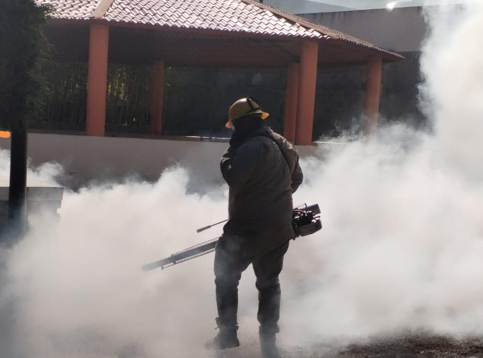 SECRETARÍA DE SALUD MANTIENE VIGILANCIA EPIDEMIOLÓGICA DEL DENGUE