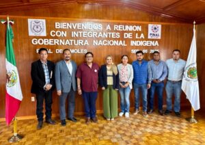 PINAL DE AMOLES GESTIONA FONDOS INTERNACIONALES