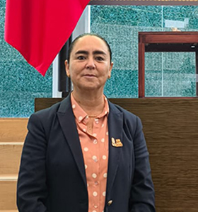 POSICIONAMIENTO DE LA DIPUTADA TERE CALZADA ROVIROSA