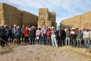 BENEFICIA GASPAR TRUEBA CON FORRAJE PARA GANADO