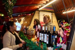 TEQUISQUIAPAN DA INICIO A LA VILLA NAVIDEÑA 2025 CON EL ENCENDIDO DE SU ÁRBOL ARTESAL