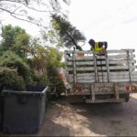 CORREGIDORA ANUNCIA CAMPAÑA DE RECOLECCIÓN DE ÁRBOLES NATURALES DE NAVIDAD