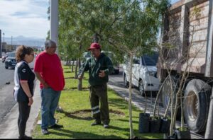 EL MARQUÉS ARRANCARÁ CAMPAÑA DE RECOLECCIÓN DE ÁRBOLES DE NAVIDAD 2026