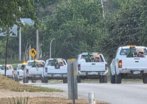 EFECTÚA SESA ACCIONES DE VIGILANCIA EPIDEMIOLÓGICA CONTRA EL DENGUE
