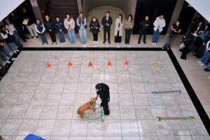 ACUDE FELIFER MACÍAS AL CIERRE DEL PRIMER TALLER DE ENTRENAMIENTO DE PERROS