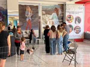 MUNICIPIO DE QUERÉTARO MANTIENE ACCIONES PERMANENTES PARA EL CUIDADO Y ADOPCIÓN DE PERROS Y GATOS