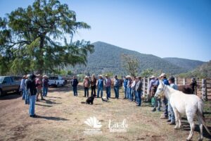 REFUERZA YUNI BENÍTEZ ESTRATEGIAS EN FAVOR DEL CAMPO CON ARRANQUE DE CAMPAÑA DE VACUNACIÓN ANTIRRÁBICA EN GRANDES ESPECIES