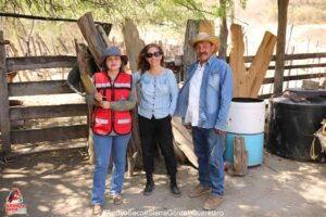 CON ACCIONES COORDINADAS, FERNANDO SÁNCHEZ GIL ENFRENTA REPORTES DE GUSANO BARRENADOR