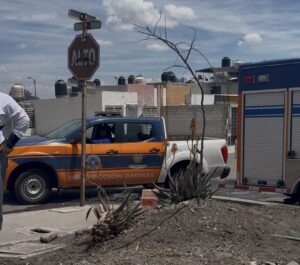 VELA FELIFER MACÍAS PARA SALVAGUARDAR LA INTEGRIDAD DE LOS ANIMALES DE COMPAÑÍA EN SITUACIÓN DE RIESGO O VULNERABILIDAD