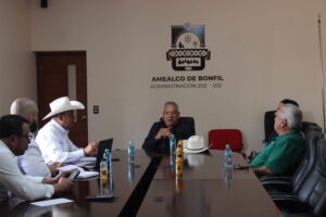 ¡IMPULSO FIRME AL CAMPO AMEALCENSE!