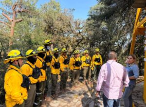 RENUEVAN TORRE DE VIGILANCIA FORESTAL CON TRABAJO CONJUNTO ENTRE MUNICIPIO Y CONAFOR.