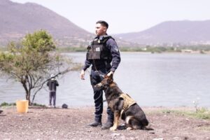 QUERÉTARO ESCALA 12 POSICIONES EN PERCEPCIÓN DE SEGURIDAD A NIVEL NACIONAL