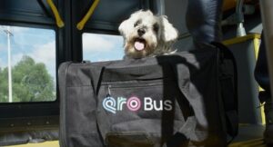 ANUNCIA CUANALO SANTOS JORNADA DE AFILIACIÓN DE MASCOTAS AL PROGRAMA PETFRIENDLY DEL SISTEMA QROBUS