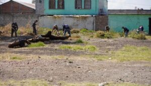 QUERÉTARO IMPULSA LA CONVIVENCIA CON MÁS DE SEIS MIL 700 FALTAS ATENDIDAS Y 600 TRABAJOS COMUNITARIOS