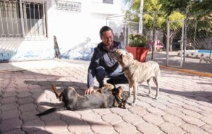 CHEPE GUERRERO ANUNCIA CONSTRUCCIÓN DE NUEVA CLÍNICA VETERINARIA EN CORREGIDORA