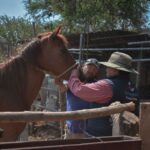 CORREGIDORA LLEVA JORNADA DE SALUD ANIMAL A LA COMUNIDAD DE LA CUEVA