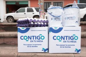 SUPERVISA LUIS NAVA ENTREGA DE APOYOS ALIMENTARIOS DEL PROGRAMA CONTIGO EN TU MESA