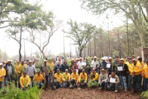 INICIA SEDEA TEMPORADA DE REFORESTACIÓN EN EL ESTADO