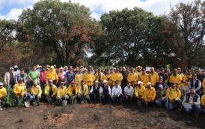 INICIA SEDEA REFORESTACIÓN CON MÁS DE 800 MIL ÁRBOLES