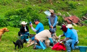 GRAN ÉXITO EN LA JORNADA DE SALUD EQUINA EN DERRAMADERO DE JUÁREZ! ✨🐴