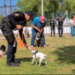 MÁS DE 100 FAMILIAS PARTICIPAN EN CURSO BÁSICO DE ADIESTRAMIENTO CANINO DE LA SSPM CORREGIDORA