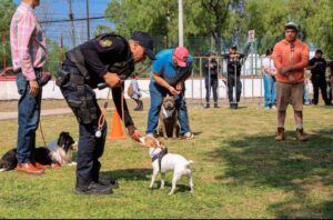 MÁS DE 100 FAMILIAS PARTICIPAN EN CURSO BÁSICO DE ADIESTRAMIENTO CANINO DE LA SSPM CORREGIDORA