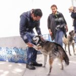 CORREGIDORA ARRANCA LA SEGUNDA ETAPA DE LA CAMPAÑA GRATUITA “ESTERILIZA Y PROTEGE”