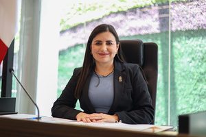 DICTAMEN SOBRE IDENTIDAD DE GÉNERO SE APROBÓ SIN LA MAYORÍA CALIFICADA QUE EXIGE LA CONSTITUCIÓN: LEONOR MEJÍA