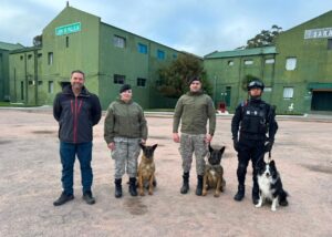 POLICÍA MUNICIPAL DE CORREGIDORA OBTIENE CERTIFICACIÓN INTERNACIONAL EN BÚSQUEDA Y RESCATE DE PERSONAS