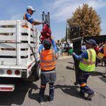 CORREGIDORA FORTALECE LA RECOLECCIÓN DE TILICHES EN COLONIAS Y COMUNIDADES