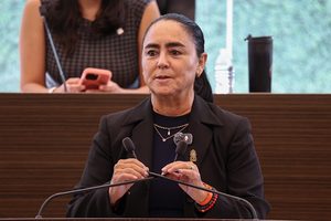 PRUEBA LXI LEGISLATURA DIVERSOS DICTÁMENES; DIPUTADA TERE CALZADA VOTA A FAVOR DE LA LEY DE IDENTIDAD TRAS GARANTIZAR LA PROTECCIÓN A LAS INFANCIAS