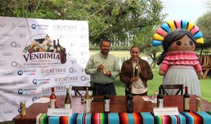 QUERÉTARO CELEBRARÁ “LA VENDIMIA MÁS MEXICANA” EN VIÑEDOS AZTECA