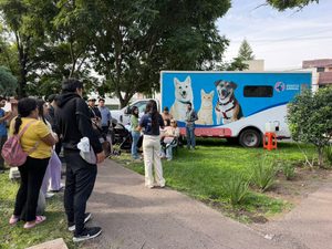 FORTALECE SECRETARÍA DE BIENESTAR ANIMAL ACCIONES EN FAVOR DE LOS ANIMALES DE COMPAÑÍA