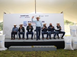 FORTALECE SEDEA AL CAMPO AMEALCENSE CON ENTREGA DE SEMILLA FORRAJERA