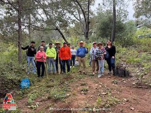 🌱🌳 ¡PLANTAMOS MÁS DE MIL ÁRBOLES EN NUESTRA SIERRA!