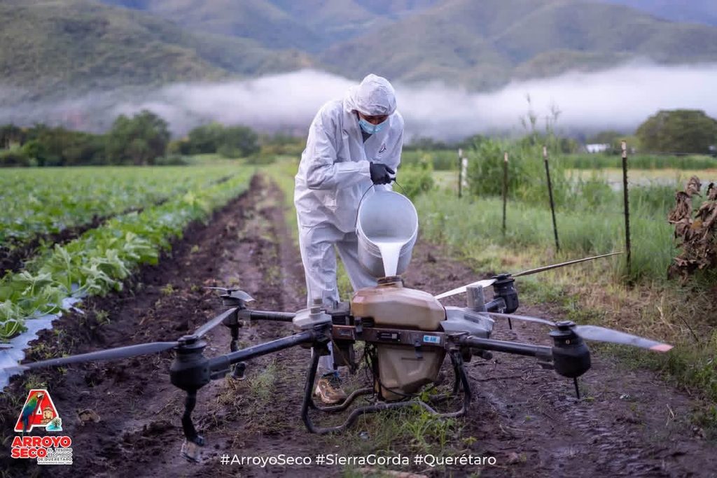 ARROYO SECO SUMA ESFUERZOS PARA EL CONTROL DE LA LANGOSTA CENTROAMERICANA Y LA PROTECCIÓN DEL CAMPO 2 IMG 20261020 WA0038