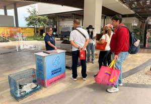 INVITA MUNICIPIO DE QUERÉTARO A JORNADA DE ADOPCIÓN DE GATOS EN PLAZA PASEO QUERÉTARO