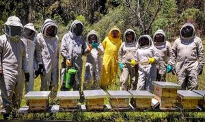 IMPA EL MARQUÉS INTERCAMBIA EXPERIENCIAS EN COLOMBIA PARA MEJORAR LA PROTECCIÓN DE ABEJAS