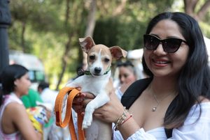 ANUNCIA AMEQ SEGUNDA JORNADA PETFRIENDLY