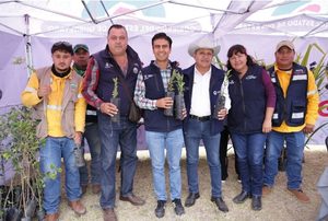 ACERCA SEDESOQ SERVICIOS Y TRÁMITES GRATUITOS A LAS FAMILIAS DE LA COLONIA BOLAÑOS