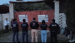 MUNICIPIO DE QUERÉTARO SUSPENDE PENSIÓN DE PERROS POR IRREGULARIDADES; ASEGURA A 28 EJEMPLARES